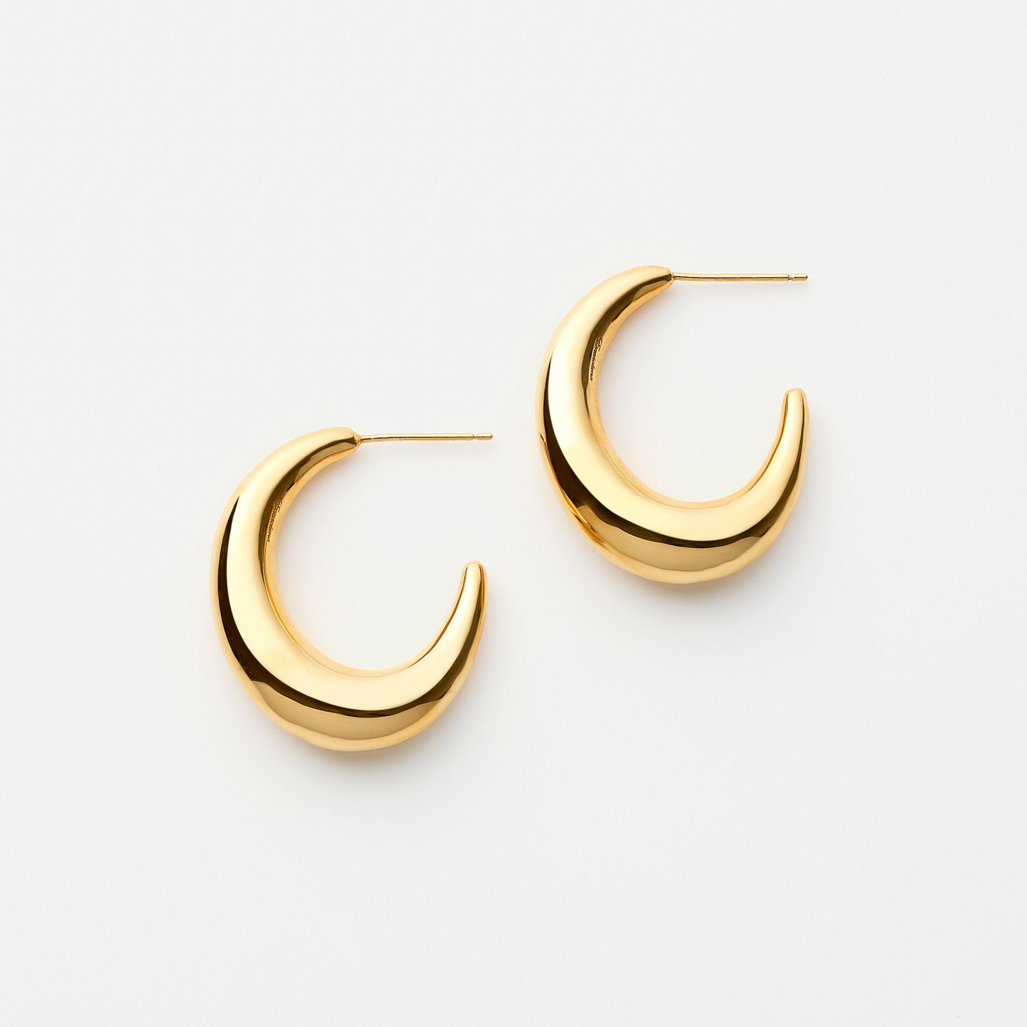 Cashew nut earrings｜enasoluna（エナソルーナ）公式サイト